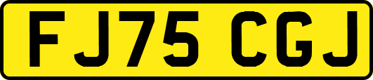 FJ75CGJ