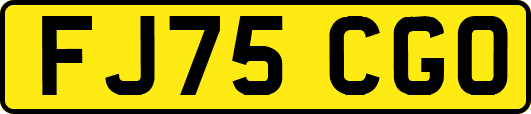 FJ75CGO