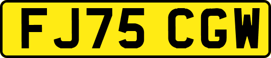 FJ75CGW