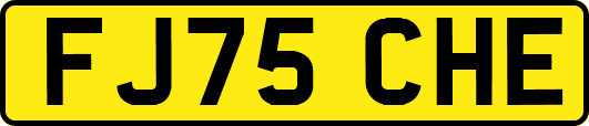 FJ75CHE