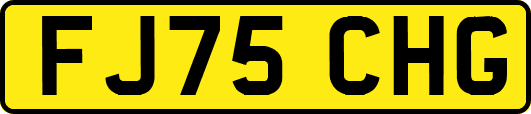 FJ75CHG