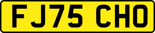 FJ75CHO