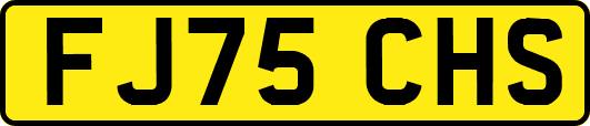 FJ75CHS