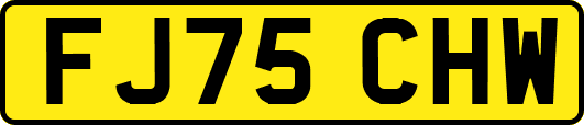 FJ75CHW