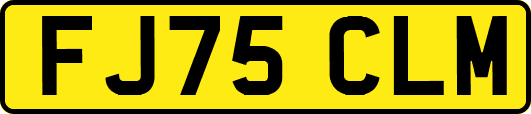 FJ75CLM