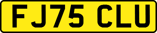 FJ75CLU