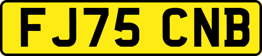 FJ75CNB