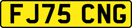 FJ75CNG