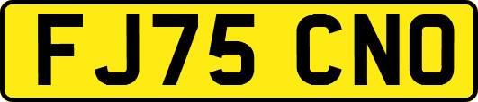 FJ75CNO