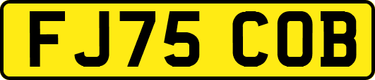 FJ75COB