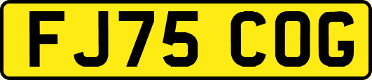 FJ75COG