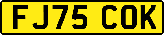 FJ75COK