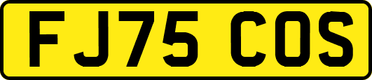 FJ75COS