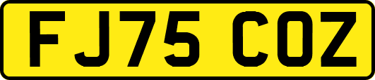 FJ75COZ