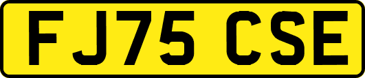 FJ75CSE