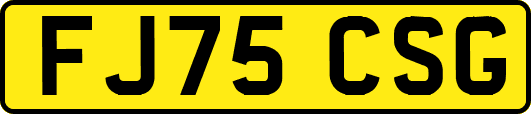 FJ75CSG