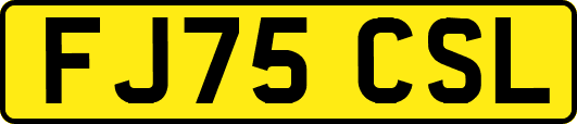 FJ75CSL