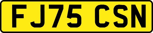 FJ75CSN