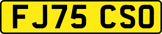 FJ75CSO