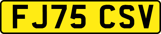 FJ75CSV