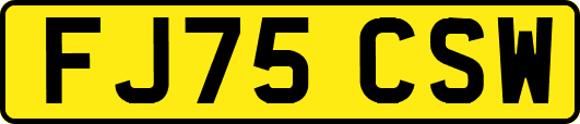 FJ75CSW