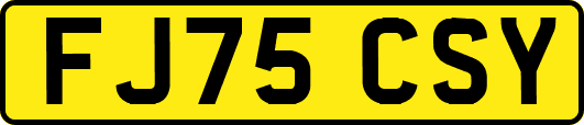 FJ75CSY