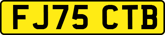 FJ75CTB