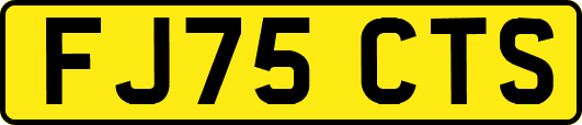 FJ75CTS