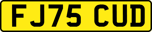 FJ75CUD