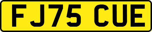 FJ75CUE