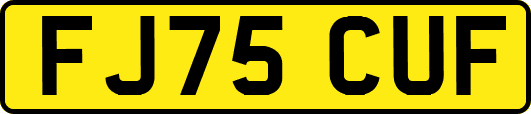 FJ75CUF