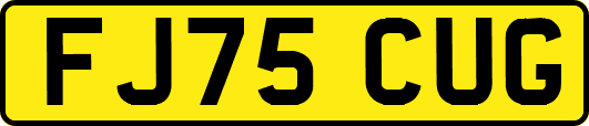 FJ75CUG