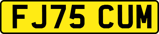 FJ75CUM