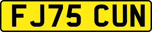 FJ75CUN