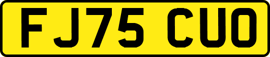FJ75CUO
