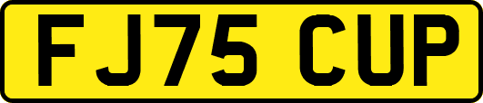FJ75CUP