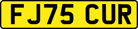 FJ75CUR