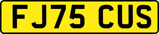 FJ75CUS