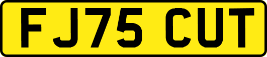FJ75CUT