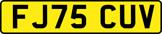 FJ75CUV