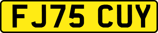 FJ75CUY