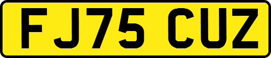 FJ75CUZ