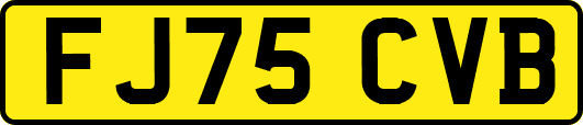 FJ75CVB