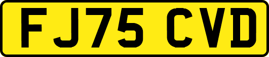 FJ75CVD