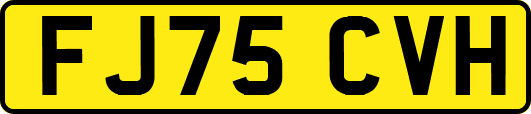 FJ75CVH