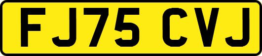 FJ75CVJ