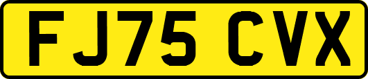 FJ75CVX