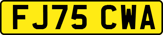 FJ75CWA