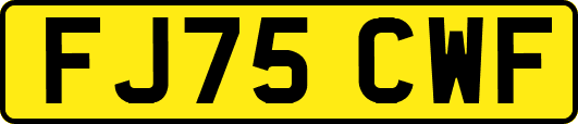 FJ75CWF