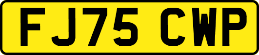 FJ75CWP